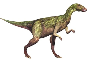Dryosaurus altus