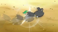 EP712 Emolga usando acróbata 3