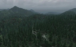 Gold Road