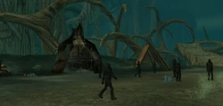 Feral Wookiee camp.jpg