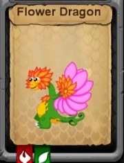 Flower Dragon