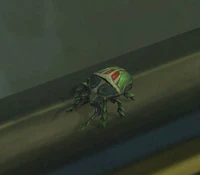 EmeraldScarab