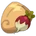 Tuberbulb Seed