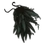Black Crow's Cloak