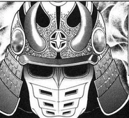 Helmet
