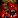 IconSmall Daemon