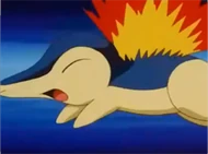 EP240 Cyndaquil usando ataque rápido