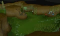 Nature grotto.png
