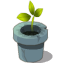 Smelly Plant