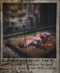 http://www.silenthillmemories.net/sh5/drawings_photos/pics/photo_04