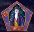 Merlin - Chocogrenouille HP2.jpg