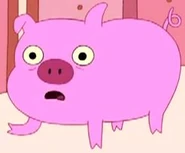 Pig