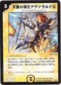 Dm-p2-y7
