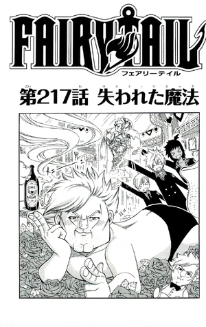 Cover 217