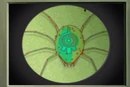 7 xana the nano virus