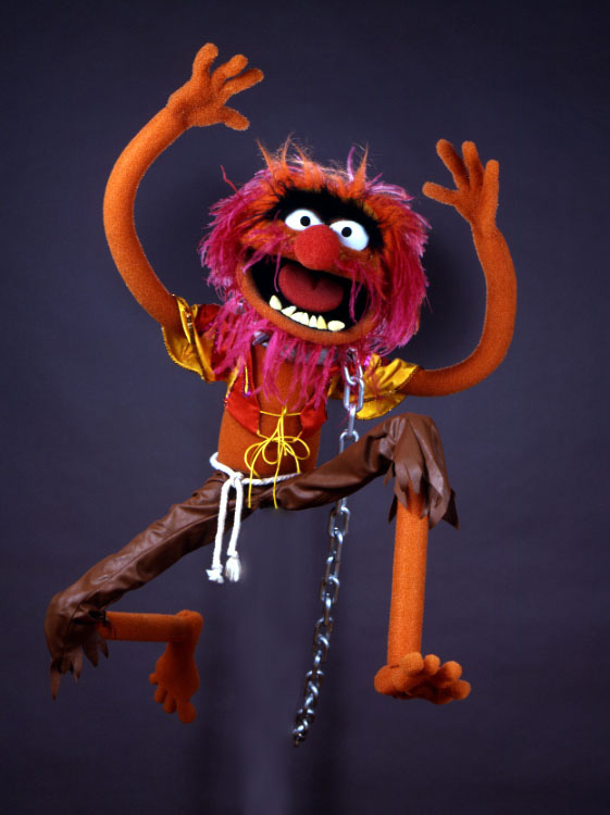 Animal - Muppet Wiki