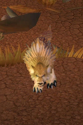 Desert Animals Coyote