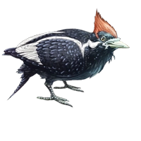 Huge item ivory-billedwoodpecker 01.png