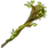 The Big Branch