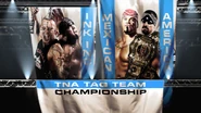 Mexican America v Ink Inc.