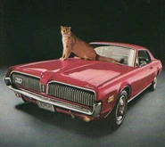 68 Cougar1