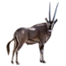 Item beisaoryx 01.png