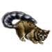 Ringtail Cat