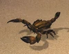 Venomscale Spitter