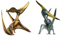 Pteranodon