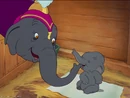 MatriarchCuddlingDumbo