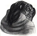 Mad Eye Moody.jpg