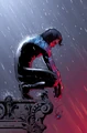 Nightwing 0017
