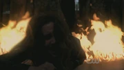 Spn510-1137.jpg