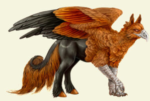 Solar Hippogryph