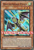 Dracounidad pilum.jpg