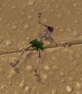 Schnottz'sCorpse