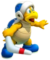 Boomerang Bro. SM3DL