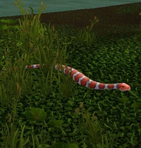 Image of Marsh Serpent