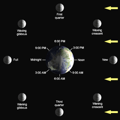 Lunar-Phase-Diagram