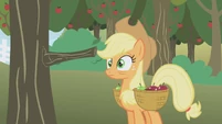 Applejack hit by a tree... again S01E04