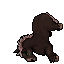 Wild Horse