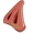 Snout