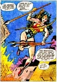 Wonder Woman 0207