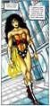 Wonder Woman 0266