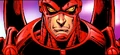 Black Beetle Red 002