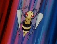 Casey Beedrill Twineedle