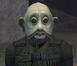 JaredGastin
