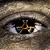 Marked by the zone.png