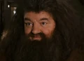 Hagrid comforting hermione.png