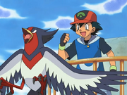 Ash and Swellow
